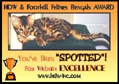 You've been SPOTTED Award
