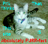 Pris' PURR-Fect Site Award