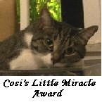 Cosi's Little Miracle Award