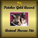 The Calico Girls Gold Award for Animal Rescue Site