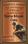 Bronze Sinapsis Award for Intellectual Attitude