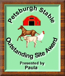 Petsburgh/Stable Oustanding Site Award