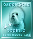 Dandie Star **TopInfo Award for Content