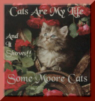 Cats are my Life Award