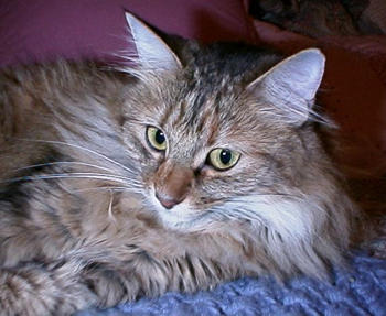 another picture of Chloe