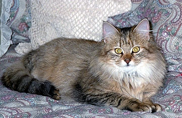 Picture of Chloe