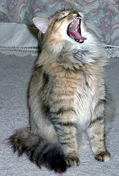 Chloe Sings!