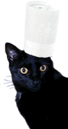 Duncan, the owner and chef