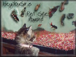 Hey You Sir Pet Site Award