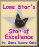 Lone Star's Star of Excellence