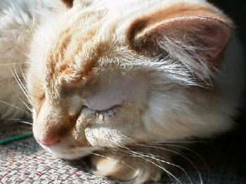 After the Surgery