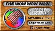 WowWowWow Merit Award
