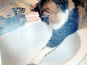 Water 1