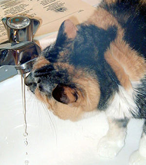 water10