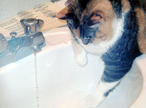 water4