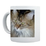 Chloe Closeup Mug - front